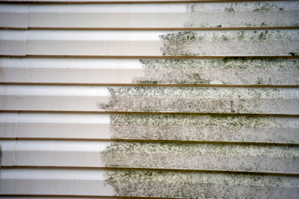 Best Storm Damage Siding Repair  in Dexter, MI