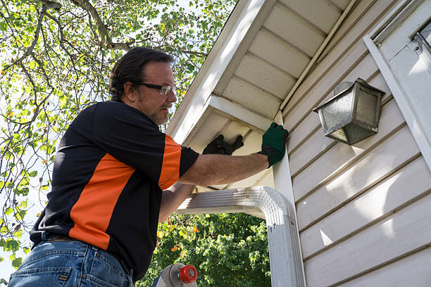 Best Fascia and Soffit Installation  in Dexter, MI